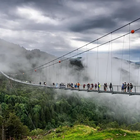 App 3201 - Seewald -mit Indoorpool- Schluchsee, Hochschwarzwaldkarte Schluchsee