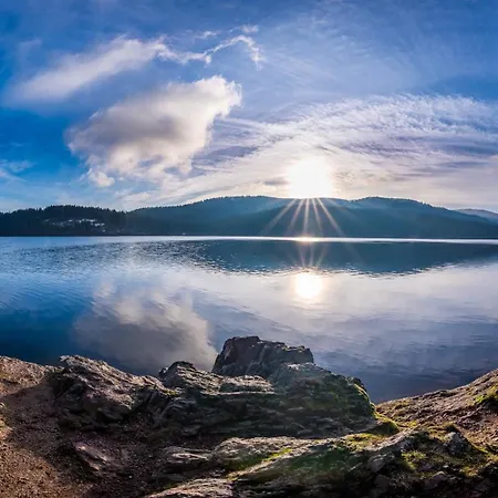 App 3201 - Seewald -mit Indoorpool- Schluchsee, Hochschwarzwaldkarte Apartamento *