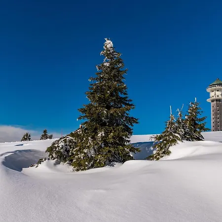 Apartamento App 3201 - Seewald -mit Indoorpool- Schluchsee, Hochschwarzwaldkarte *