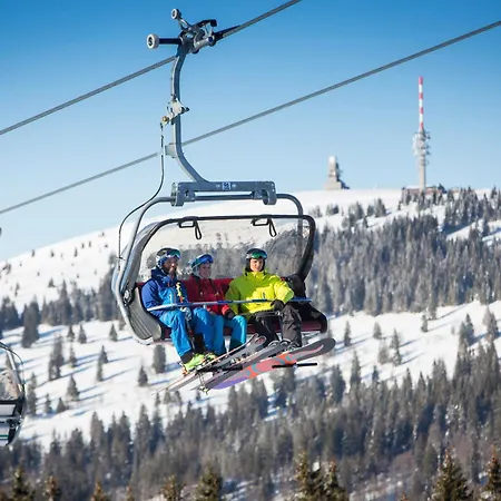 App 3201 - Seewald -mit Indoorpool- Schluchsee, Hochschwarzwaldkarte *