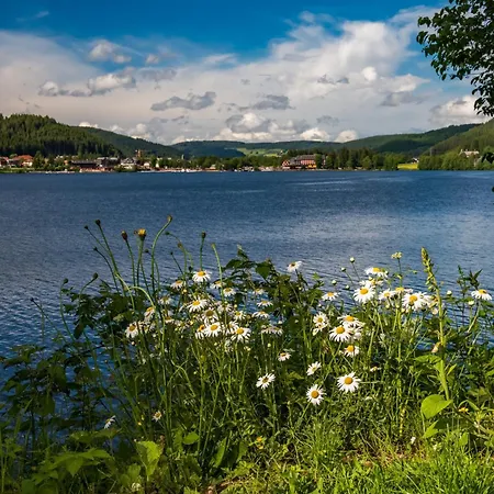 App 3201 - Seewald -mit Indoorpool- Schluchsee, Hochschwarzwaldkarte