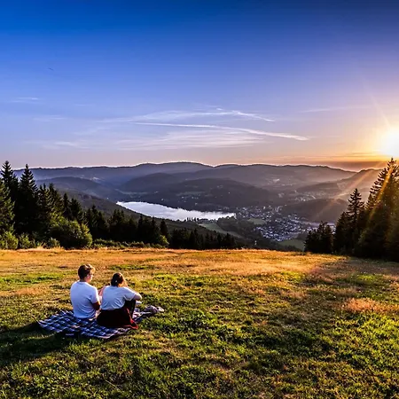App 3201 - Seewald -mit Indoorpool- Schluchsee, Hochschwarzwaldkarte * Schluchsee